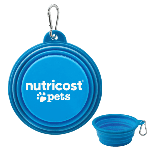 dogbowlpetsgiftwithlogo 23902603 60f9 48a1 9956 58996a5fa482